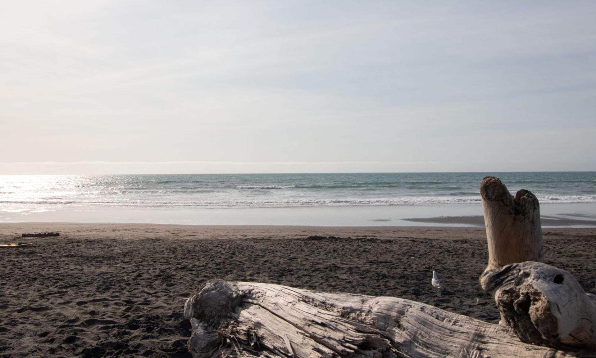 The Dunes At Fitzroy Beach - Unit 2 New Plymouth Exterior foto